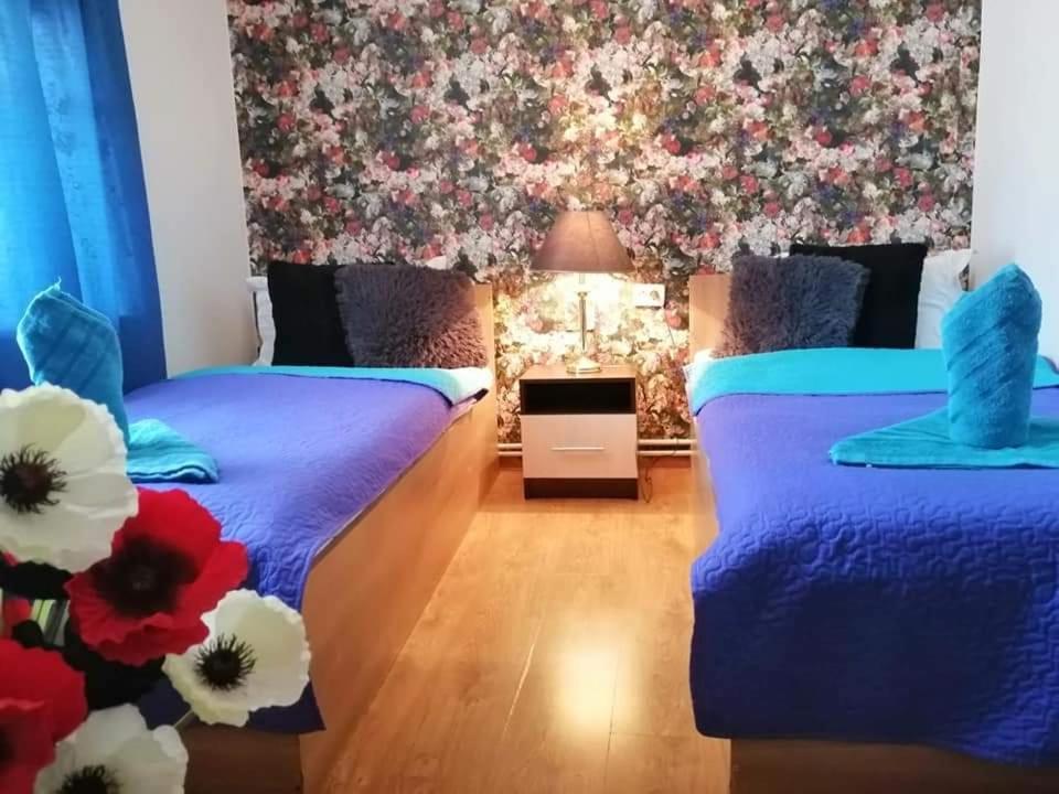 Casa Regala Ear Hotell Craiova Eksteriør bilde
