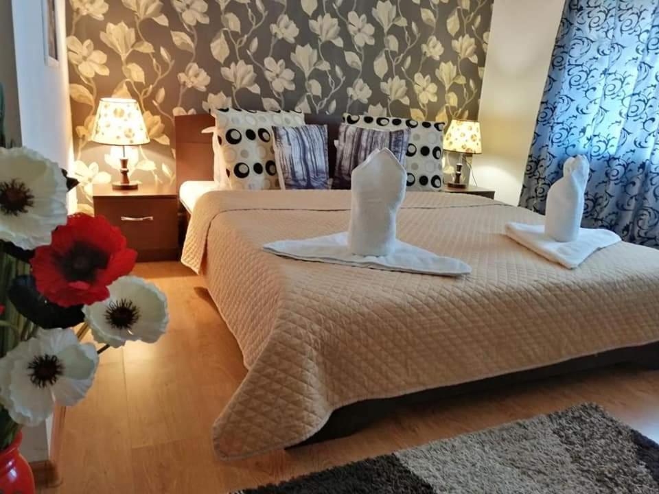 Casa Regala Ear Hotell Craiova Eksteriør bilde