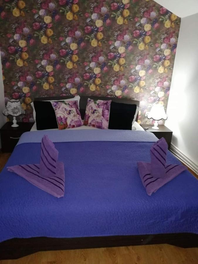 Casa Regala Ear Hotell Craiova Eksteriør bilde
